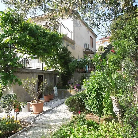 Apartment Miljkovic
